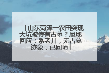 山东菏泽一农田突现大坑被传有古墓？属地回应：系老井，无古墓迹象，已回填